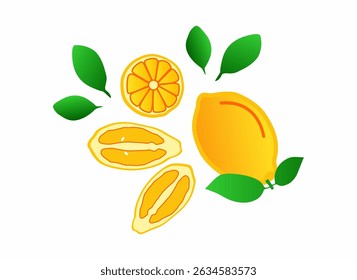 fresh lemon fruit vector color	
