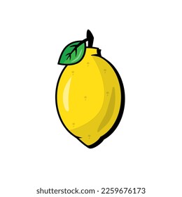 fresh lemon fruit vector design. fruit plants that are rich in vitamin c and grow in the tropics