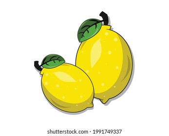 fresh lemon fruit vector illustration on white background and editable