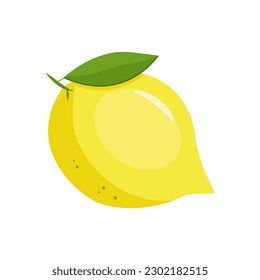 Fresh lemon fruit. Vector illustration on white background