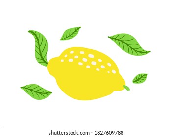 Fresh lemon fruits with branch and leaves. Citrus and leaf. Cartoon style, flat icon. Vector illustration isolated on white background. Print for packaging, template for web.