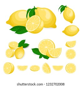 Fresh lemon fruits, collection of vector illustrations