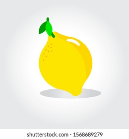 Fresh lemon fruits, collection of vector illustrations