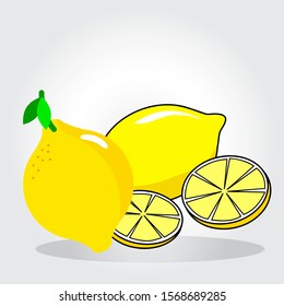 Fresh lemon fruits, collection of vector illustrations