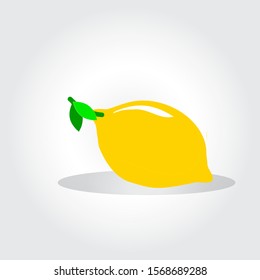 Fresh lemon fruits, collection of vector illustrations