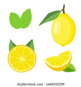 Fresh lemon fruits collection of vector illustrations isolated on white background. Set of whole, cut in half, sliced on pieces fresh lemons, mint leaves. 
