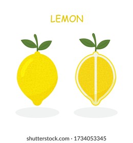 Fresh lemon fruits, collection of vector illustrations