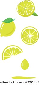 Fresh lemon fruits, collection of vector illustrations