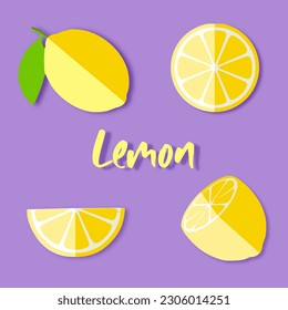 Fresh lemon fruits collection of vector illustrations