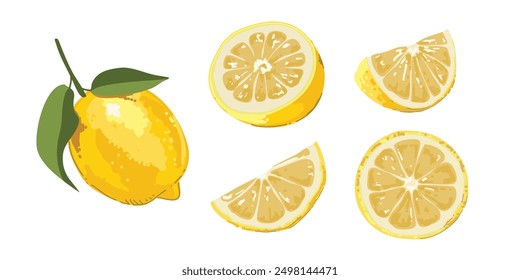 Frutas de limón frescas en conjunto de estilo dibujado a mano, limón, melocotón, pera. Dibujo de Elementos de alimentos para el diseño de etiquetas de menú de embalaje. iconos ilustración de Vector ccvvf