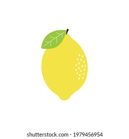 fresh lemon fruits with leaf isolated on white background, whole yellow lemon, citrus for lemonade juice, vitamin, vector illustration in flat style