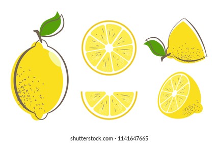 Fresh lemon fruits with leaf. Lemon vector illustration set. Whole, cut in half, sliced on pieces lemons. Citrus collection. Lemon logo or icon. 