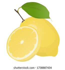 Fresh lemon fruits with leaf. Lemon vector illustration set. Whole, cut in half, sliced on pieces lemons.Lemon logo or icon.