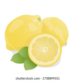 Fresh lemon fruits with leaf. Lemon vector illustration set. Whole, cut in half lemons.Lemon logo or icon.