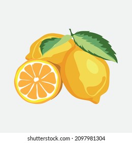 Fresh lemon fruits with leaf. Lemon vector illustration set. Whole, cut in half, sliced on pieces lemons. Citrus collection. Lemon logo or icon.