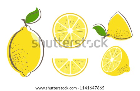 Fresh lemon fruits with leaf. Lemon vector illustration set. Whole, cut in half, sliced on pieces lemons. Citrus collection. Lemon logo or icon. 