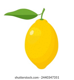 Fresh lemon fruits with leaves. A whole lemon. Yellow citrus isolated on white background. lemon icon for lemonade juice, vitamin C. Vector illustration in flat style