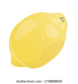 Fresh lemon fruits. Lemon vector illustration set. Lemon logo or icon.