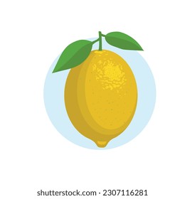 Fresh lemon fruits vector illustration on white background