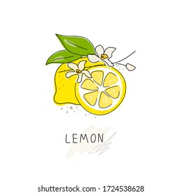 Fresh lemon fruits with white flowers and green leaves. Logo. Whole lemon cut in half, slice, clipping path isolated on a white background. Doodle Black line. Citrus. Vector handwriting illustration.