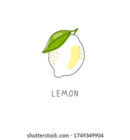 Fresh lemon fruits with white flowers and green leaves. A whole lemon. Yellow. Isolated citrus fruits. Lemon logo or icon. Doodle. Minimal style. Bloom. Black line. Vector illustration. Handwriting.