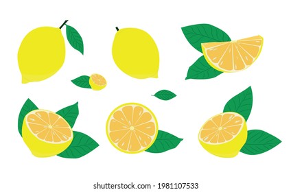 Fresh lemon fruits. Whole lemon and lemon wedges with leaves. Illustration for print, logo, label, advertising.