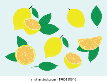 Fresh lemon fruits. Whole lemon and lemon wedges with leaves. Illustration for print, logo, label, advertising.
