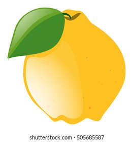 Fresh lemon with green leaf illustration