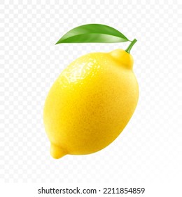 Fresh lemon with green leaf isolated on transparent background. Realistic 3d vector illustration. Fully editable handmade mesh.