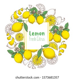 Fresh lemon hand drawn package design. Vector illustration. Lemon label for lemonade design, brochure illustration. Colorful design. Citrus lemon label illustration. Can used for packaging design.