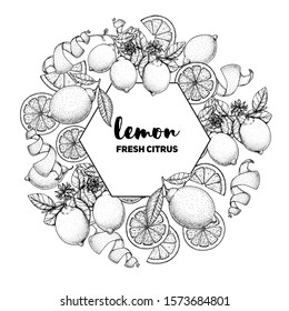 Fresh lemon hand drawn package design. Vector illustration. Lemon label for lemonade design, brochure illustration. Black and white design. Citrus lemon label illustration.