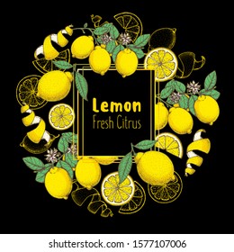 Fresh lemon hand drawn package design. Vector illustration. Lemon label for lemonade design, brochure illustration. Colorful design. Can used for packaging design.