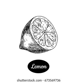 Fresh lemon . Hand drawn sketch style tropical summer fruit vector illustration. Isolated drawing on white background. Vitamin and healthy fruit eco food. Farm market produce.