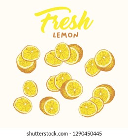 Fresh lemon hand drawn vector illustrations set. Handwritten calligraphy, lettering. Sketch fruits clipart collection. Sliced lemons engraving style drawing. Isolated citrus color design elements