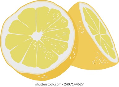 A fresh lemon icon on a white background. Vector illustration.