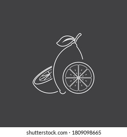 Fresh Lemon icon vector illustration design template