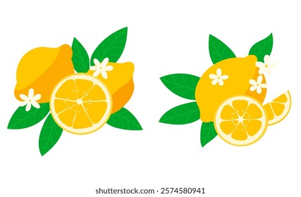 Fresh Lemon Illustration Set with Leaves and Blossoms Citrus Summer Theme