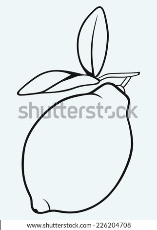 Fresh lemon isolated on blue background
