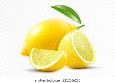 Fresh lemon isolated on transparent background. A whole lemon, half and slice a lemon. Realistic 3d vector illustration. Fully editable handmade mesh.