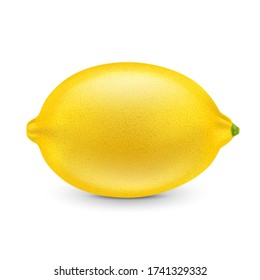 Fresh lemon isolated on a white background. Photorealistic Vector