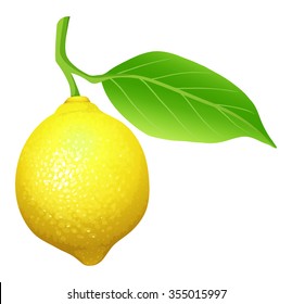 Fresh lemon with leaf illustration