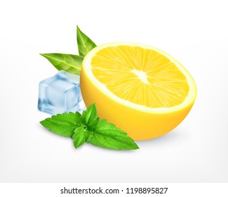 Fresh lemon with leaves of mint and ice cube. Vector icon. EPS10