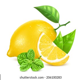 Fresh lemon with leaves, slice of lemon, mint and water drops. Vector illustration.