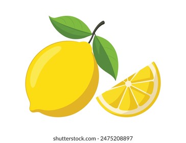 fresh lemon with lice vector illustration 