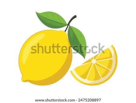 fresh lemon with lice vector illustration 
