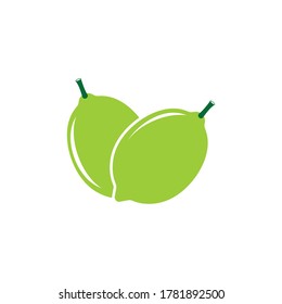 fresh lemon lime logo vector template icon