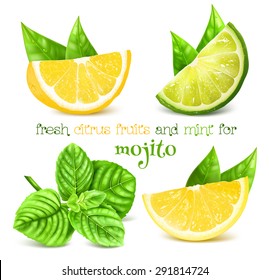 Fresh Lemon, Lime And And Mint For Drink Mojito. Vector Illustration.