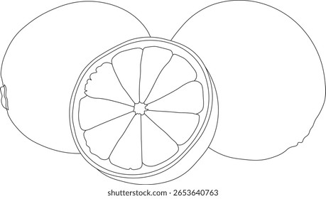 Ilustração do esboço fresco do limão e da cal. Perfeito para rótulos de alimentos, embalagens de bebidas, produtos naturais e projetos com temas cítricos. Vetor limpo e escalável