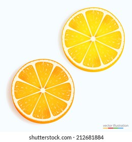 Fresh lemon and orange slice icon on a white. Vector illustration