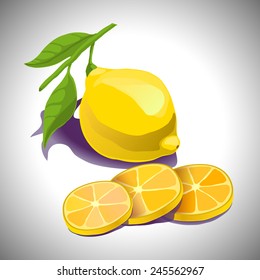 Fresh lemon and lemon rings vector
